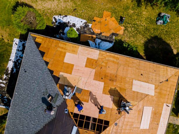 Best Flat Roof Repair Services  in Burt, MI