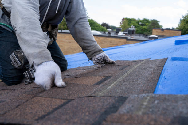 Best Affordable Roofing Company  in Burt, MI