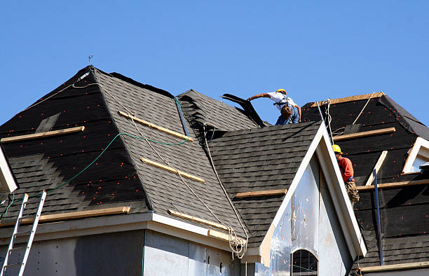 Best Roof Waterproofing Services  in Burt, MI