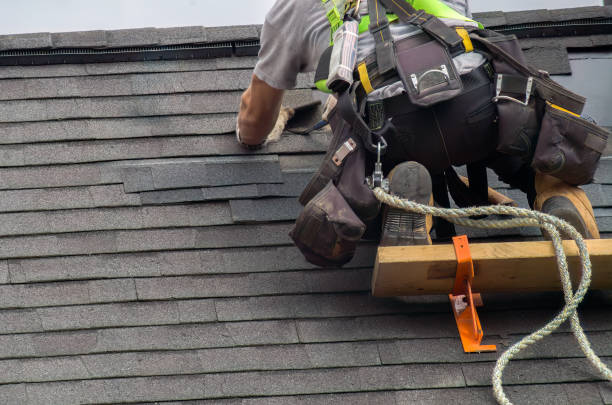 Best Local Roofing Companies  in Burt, MI