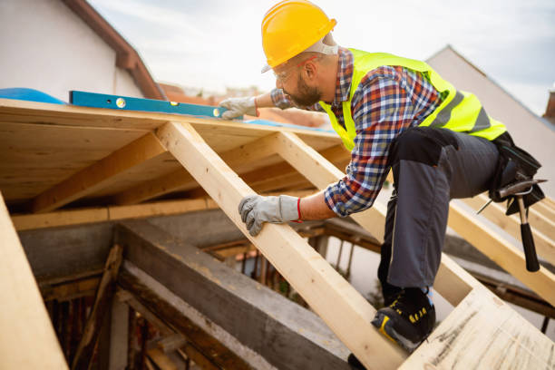 Roof Gutter Cleaning in Burt, MI