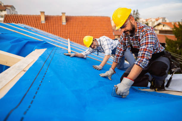 Best Roof Gutter Cleaning  in Burt, MI