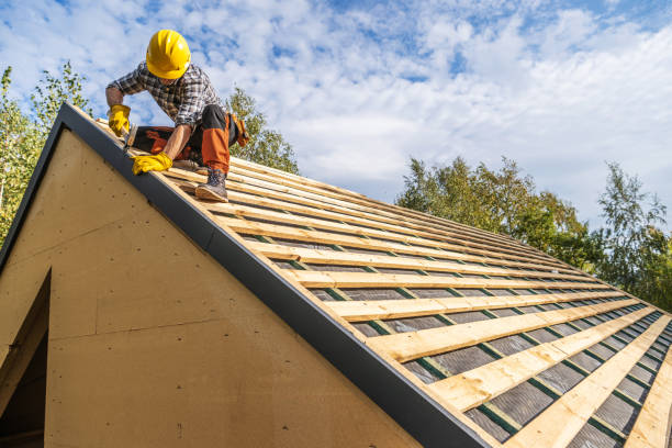 Best Metal Roofing Contractor  in Burt, MI