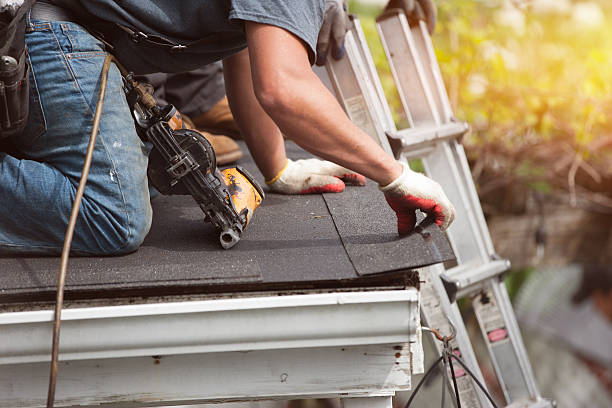 Best Roof Gutter Cleaning  in Burt, MI