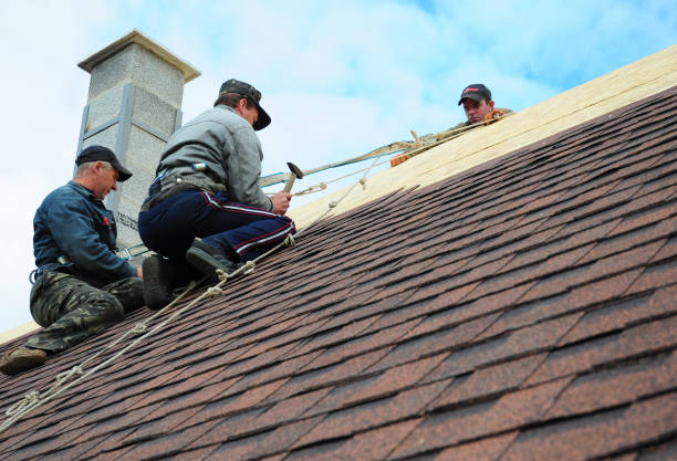 Tile Roofing Contractor in Burt, MI