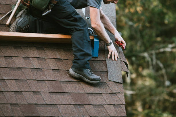 Best Roofing Contractor Near Me  in Burt, MI