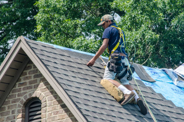 Best Local Roofing Companies  in Burt, MI