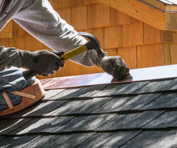 Best Metal Roofing Contractor  in Burt, MI